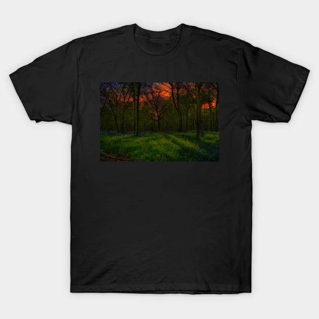 Bluebell Sunrise T-Shirt by Graz-Photos